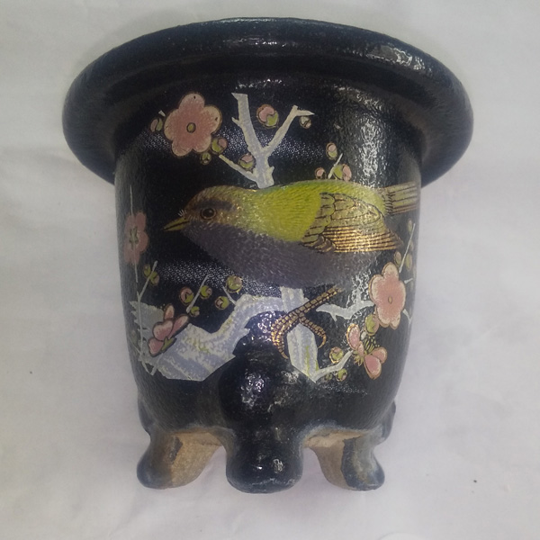 鉢画像