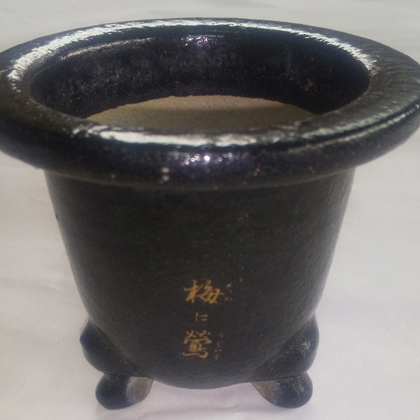 鉢画像