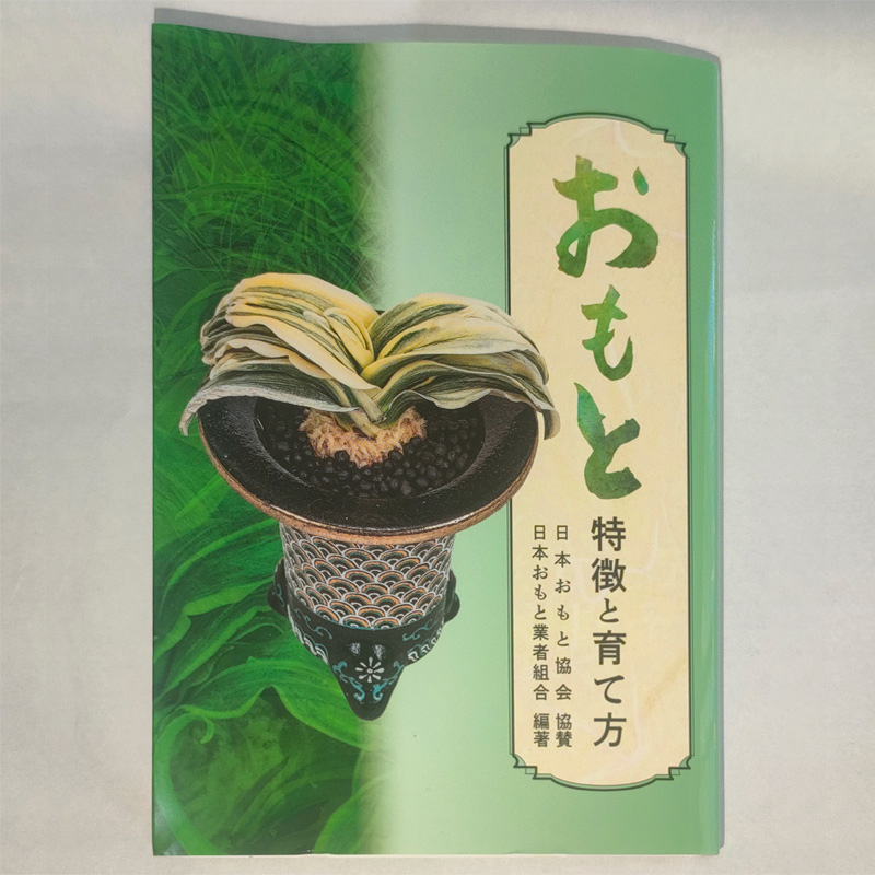 おもと特徴と育て方
